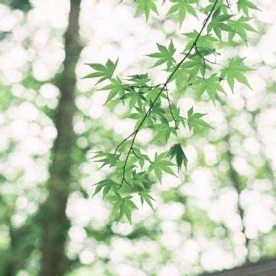 金博宝手机app下载